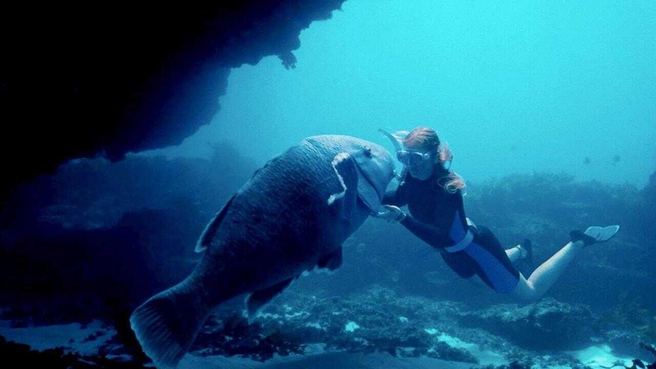 Blueback : Une amitié sous-marine (2022) 0