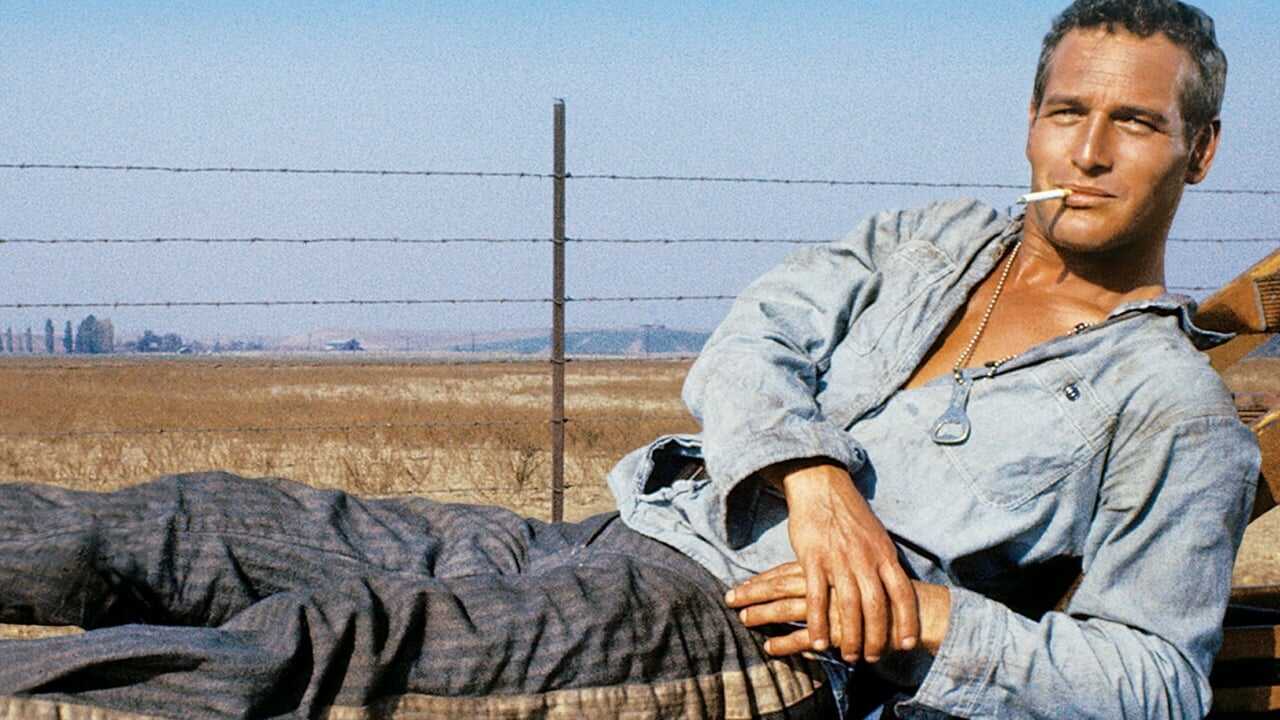 Cool Hand Luke (1967) 0
