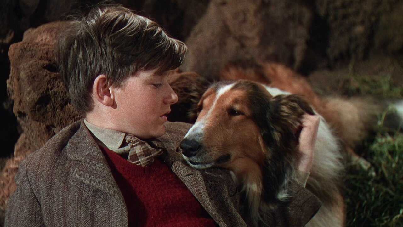 Lassie Come Home 0
