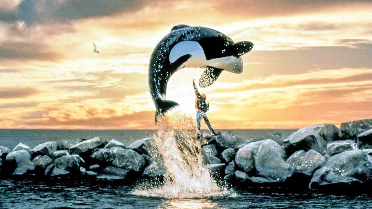 Rädda Willy 0