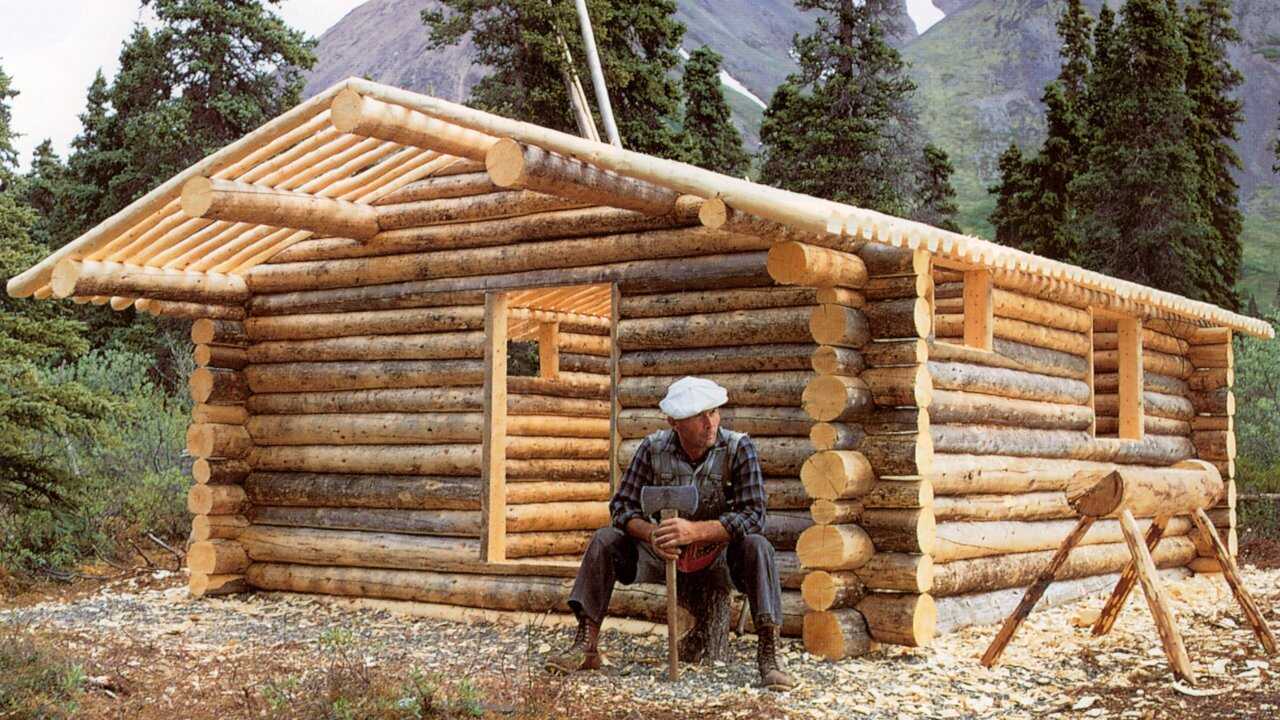 Alone in the Wilderness 0