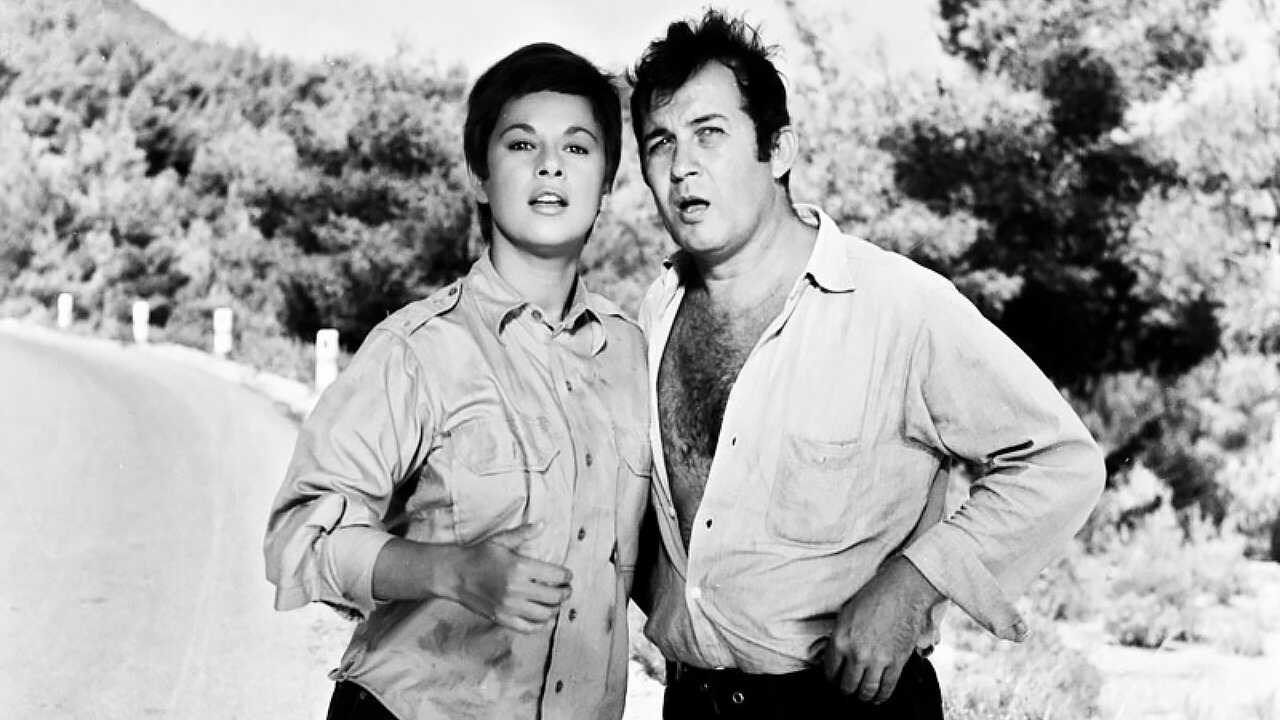 Η Αρχόντισσα κι ο Αλήτης (1968) 0