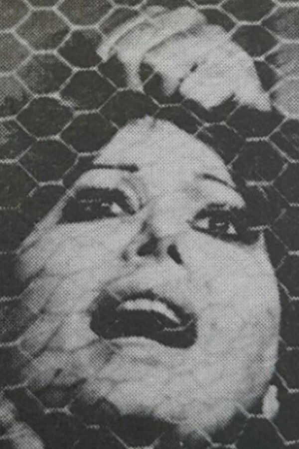 The Red-Haired (1974) 0