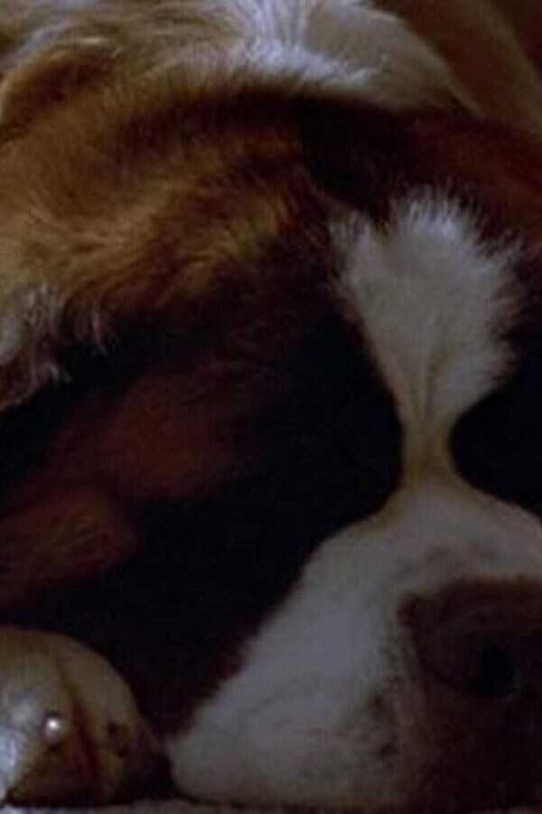 Beethoven's 4th (2001) 0