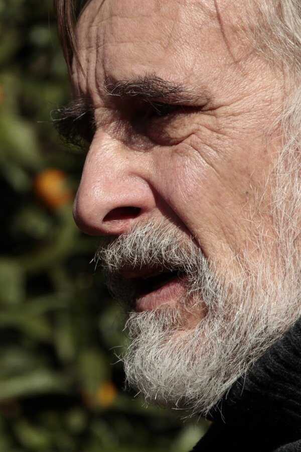Tangerines (2013) 0