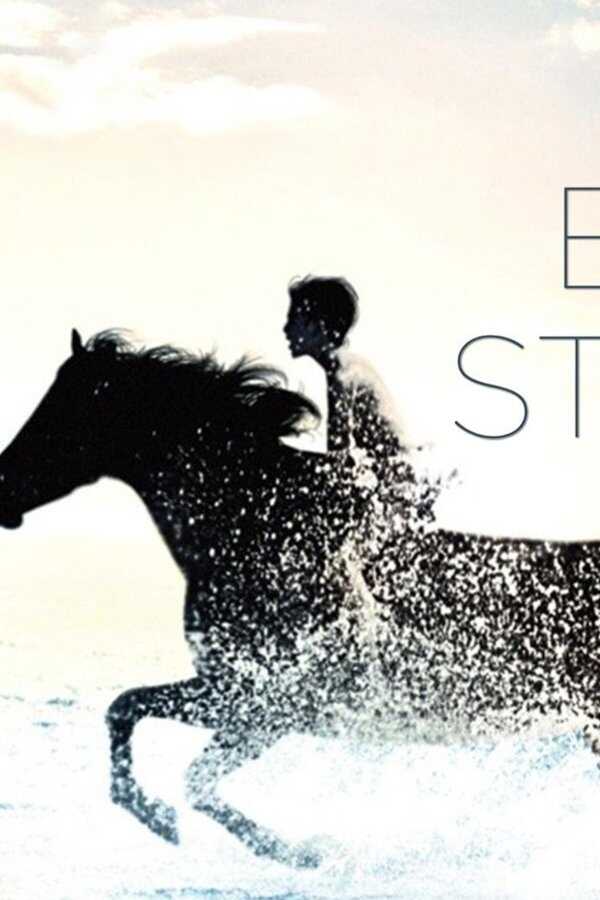 The Black Stallion (1979) 0