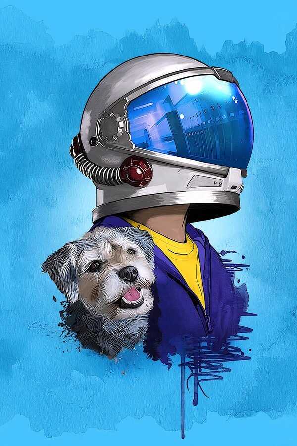 Wonder (2017) 0