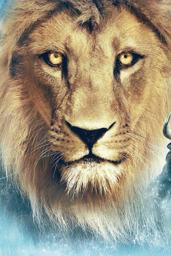 The Chronicles of Narnia: The Voyage of the Dawn Treader (2010) 0