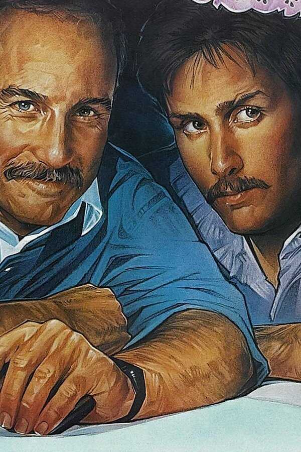 Stakeout (1987) 0