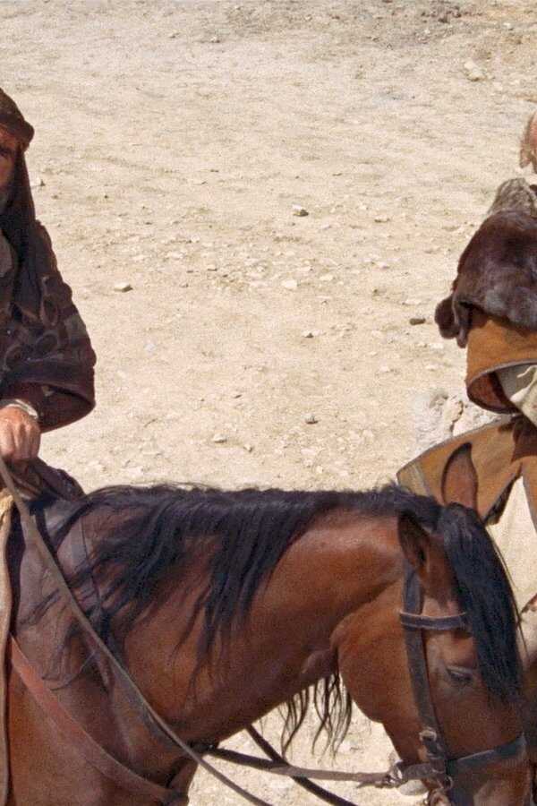 Robin and Marian (1976) 0