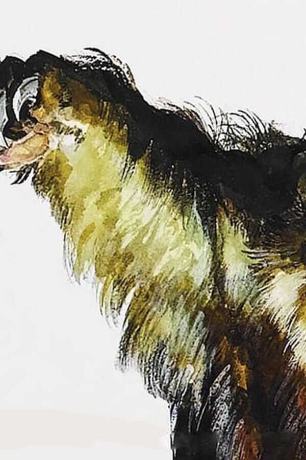 Grizzly (1976) 0