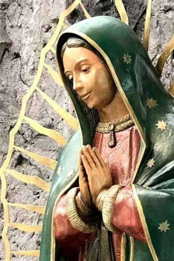 Lady of Guadalupe (2020) 0