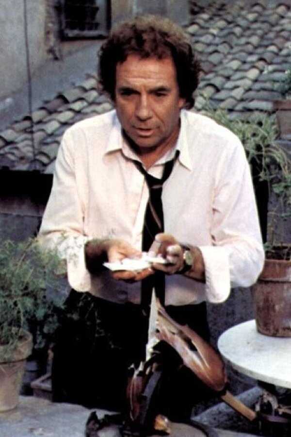 Il gatto (1977) 0