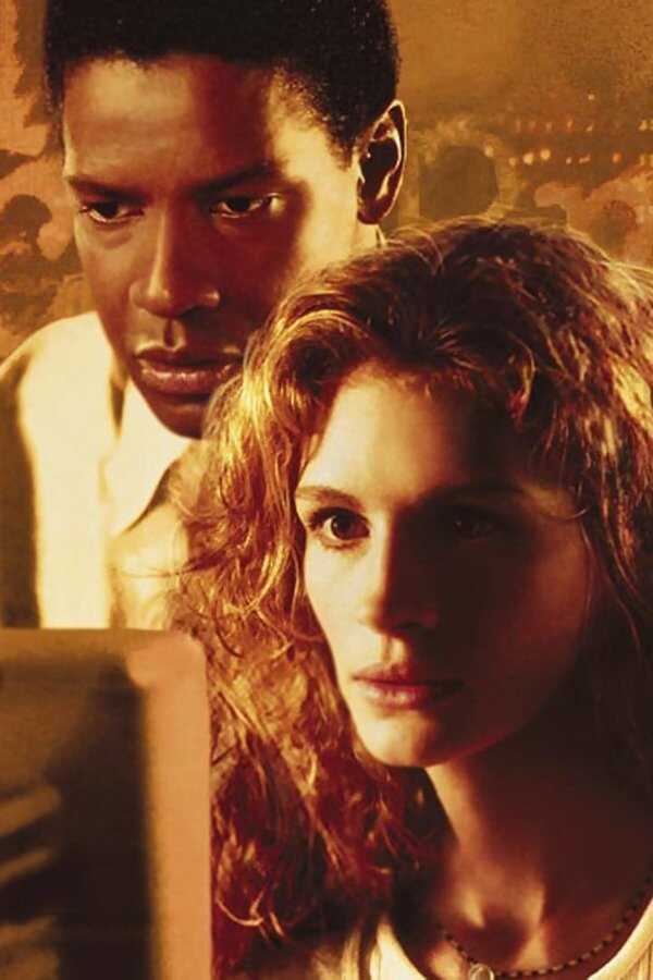 The Pelican Brief (1993) 0