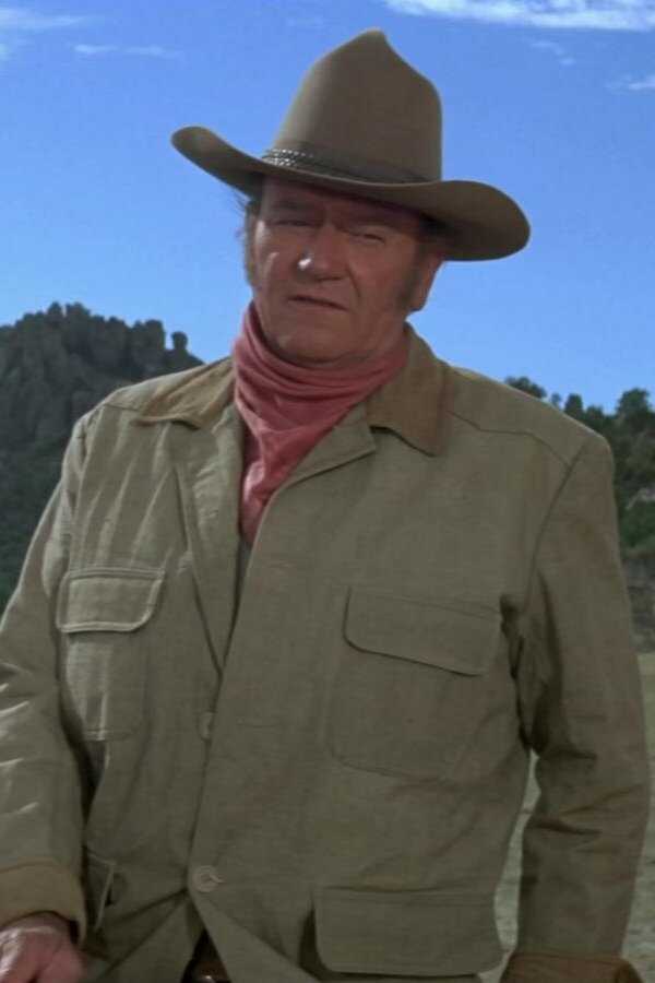The Undefeated (1969) 0