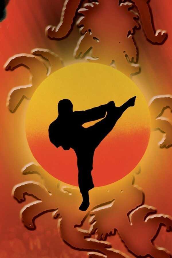 Karate Kid II - Entscheidung in Okinawa (1986) 0
