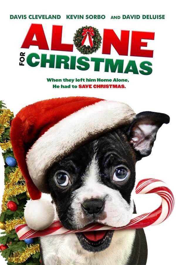 Alone for Christmas (2013) 0