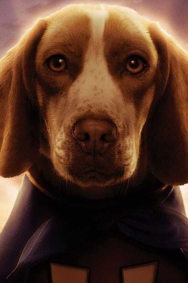 Underdog: Superhunden (2007) 0