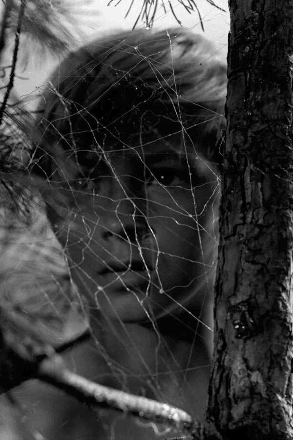 Ivan's Childhood (1962) 0