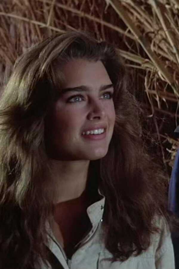 Sahara (1983) 0