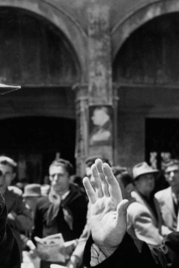 Don Camillo e l'onorevole Peppone (1955) 0