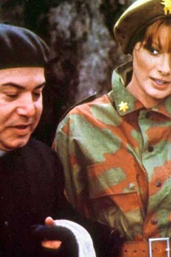 La soldatessa alle grandi manovre (1978) 0