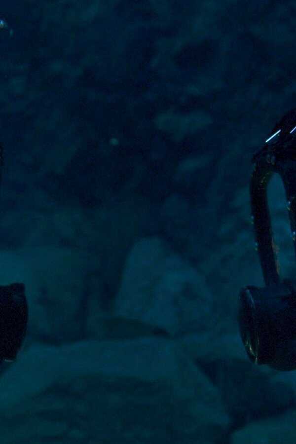 The Dive (2023) 0