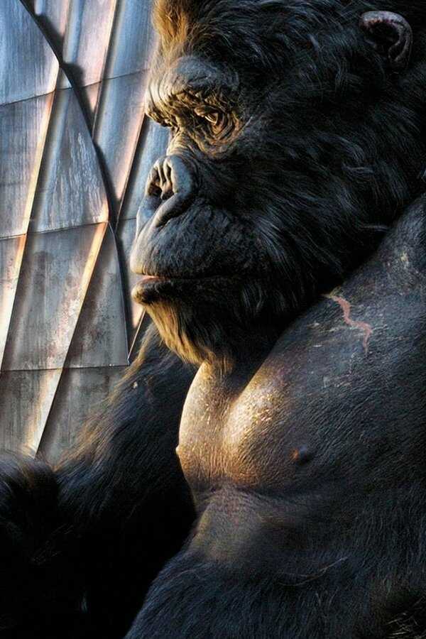 King Kong (2005) 0
