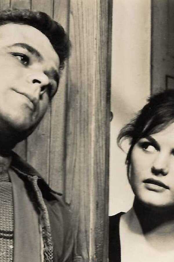 Audace colpo dei soliti ignoti (1959) 0