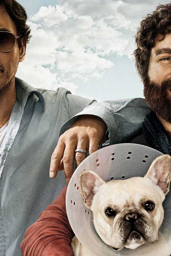 Due Date (2010) 0