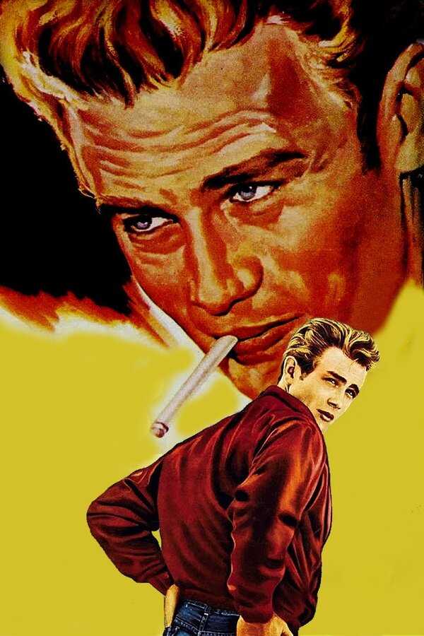 Rebel Without a Cause (1955) 0