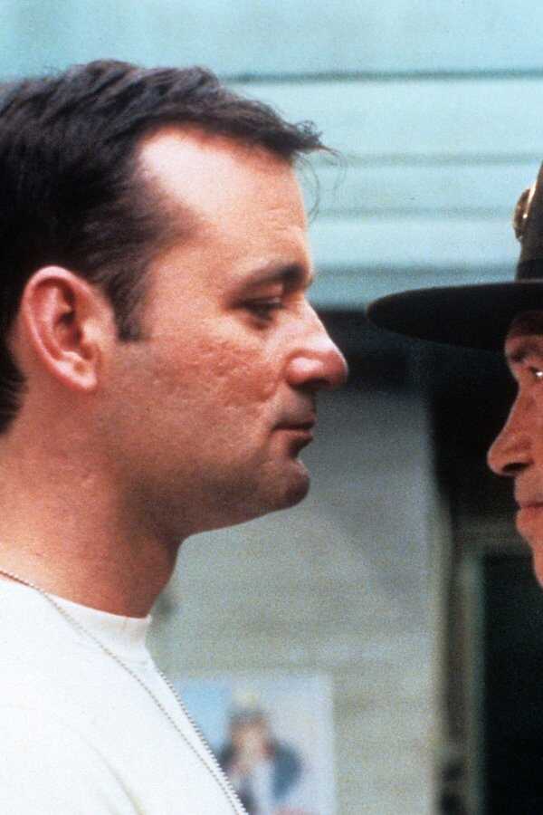 Stripes (1981) 0