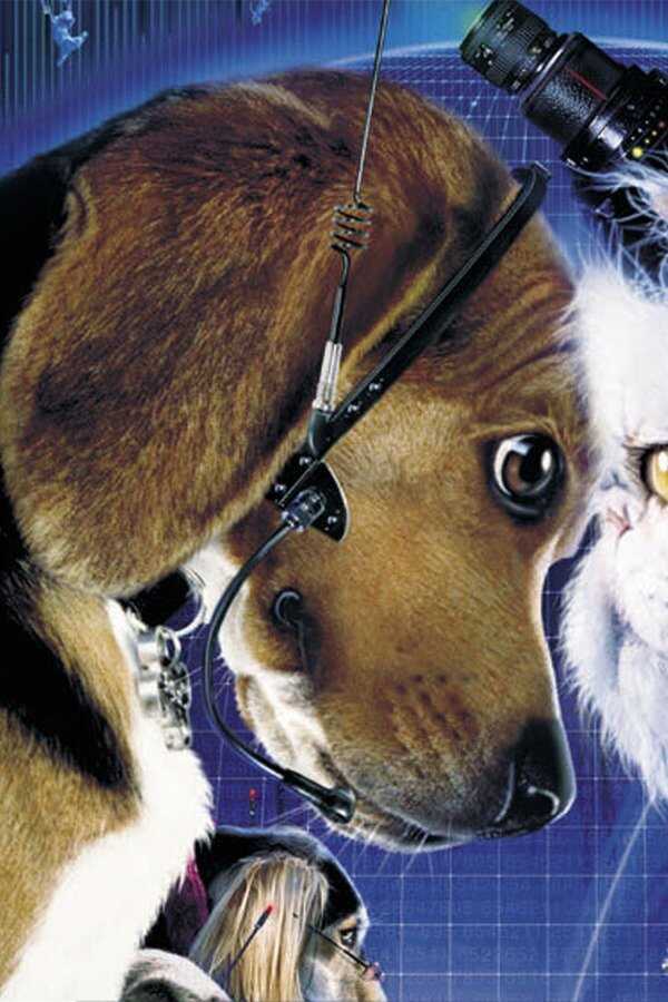 Som hund och katt (2001) 0