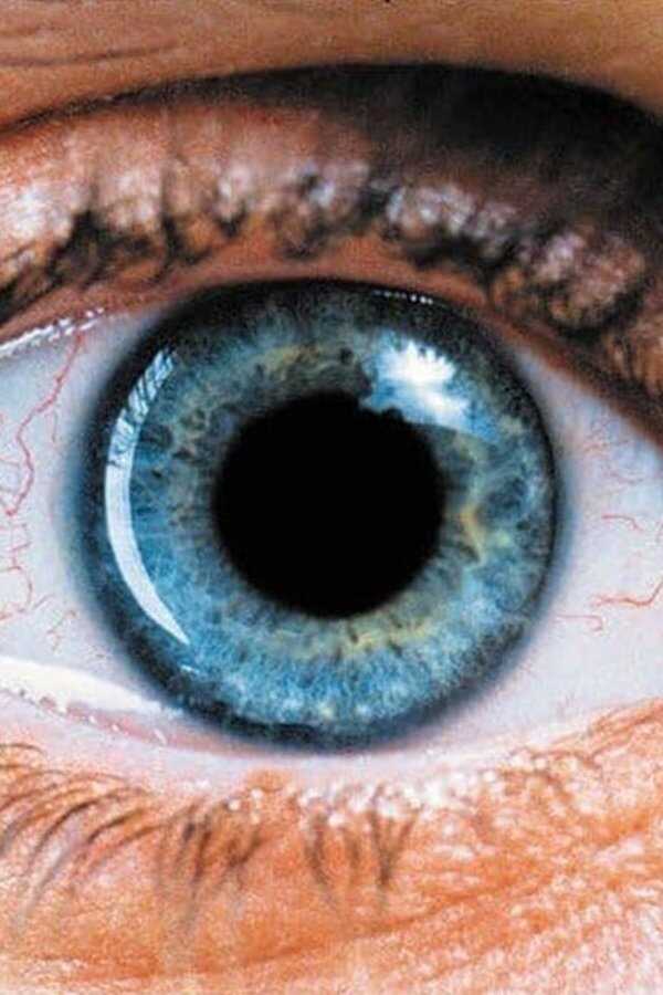 Requiem for a Dream (2000) 0
