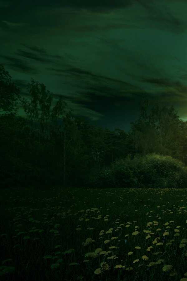 Knock at the Cabin (2023) 0