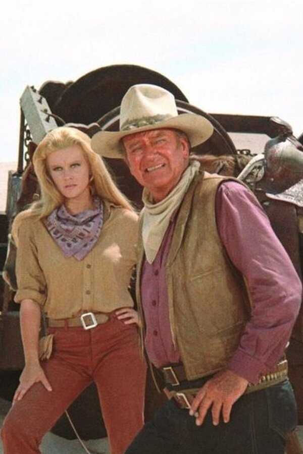 The Train Robbers (1973) 0