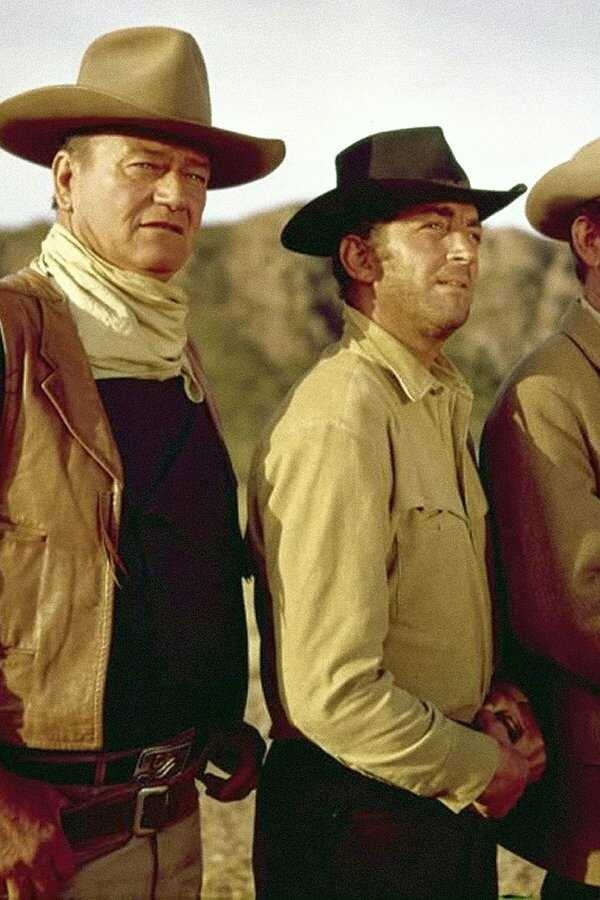 The Sons of Katie Elder (1965) 0