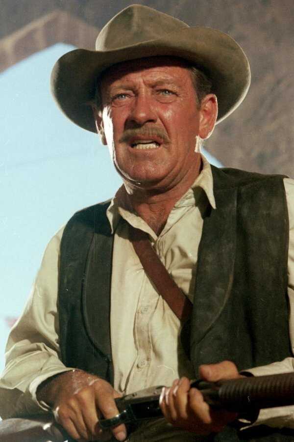 The Wild Bunch (1969) 0