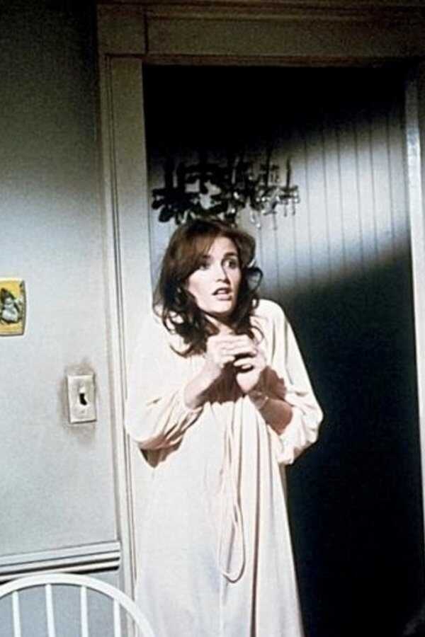 Amityville Horror (1979) 0