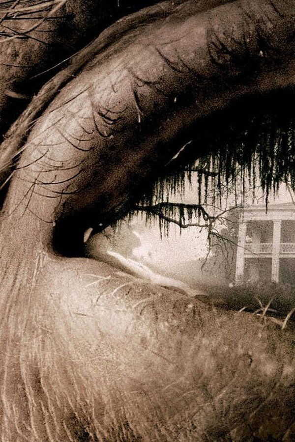 The Skeleton Key (2005) 0