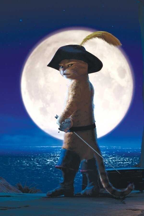 Кот в сапогах (2011) 0