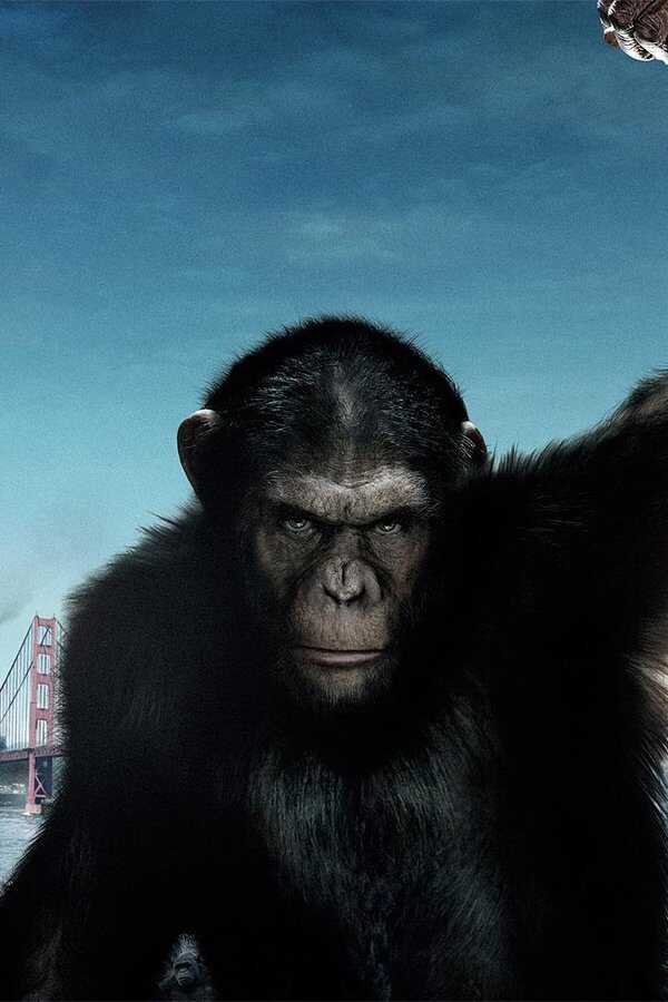Rise of the Planet of the Apes (2011) 0