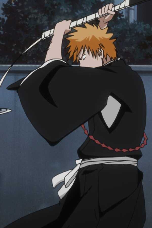 Bleach the Movie: The DiamondDust Rebellion (2007) 0
