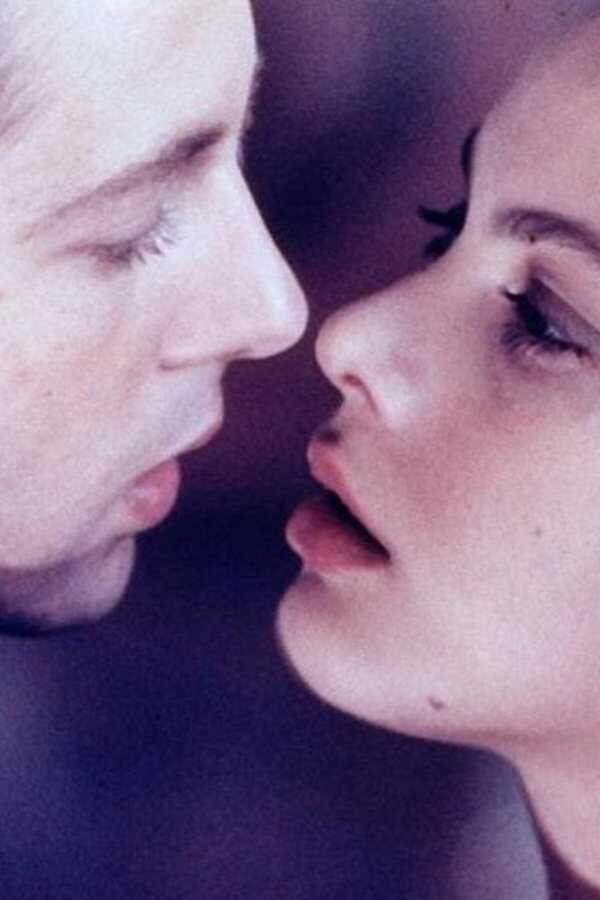 Ritratto di borghesia in nero (1978) 0