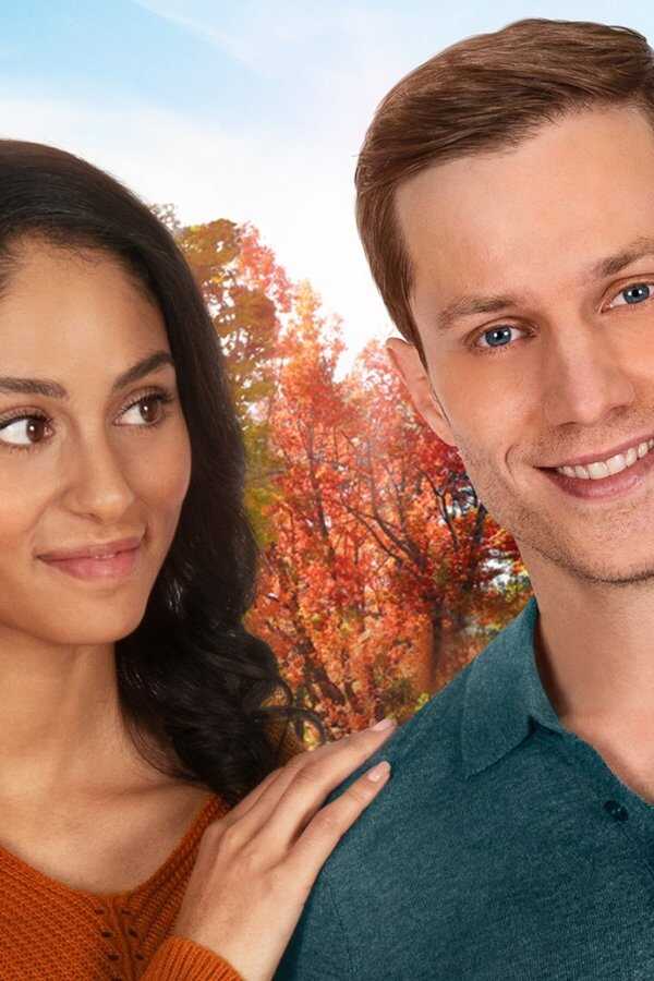 Love at Look Lodge (2020) 0