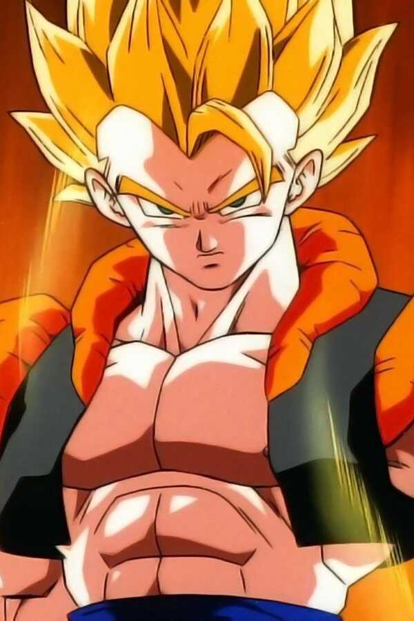 Dragonball Z: Die Fusion (1995) 0