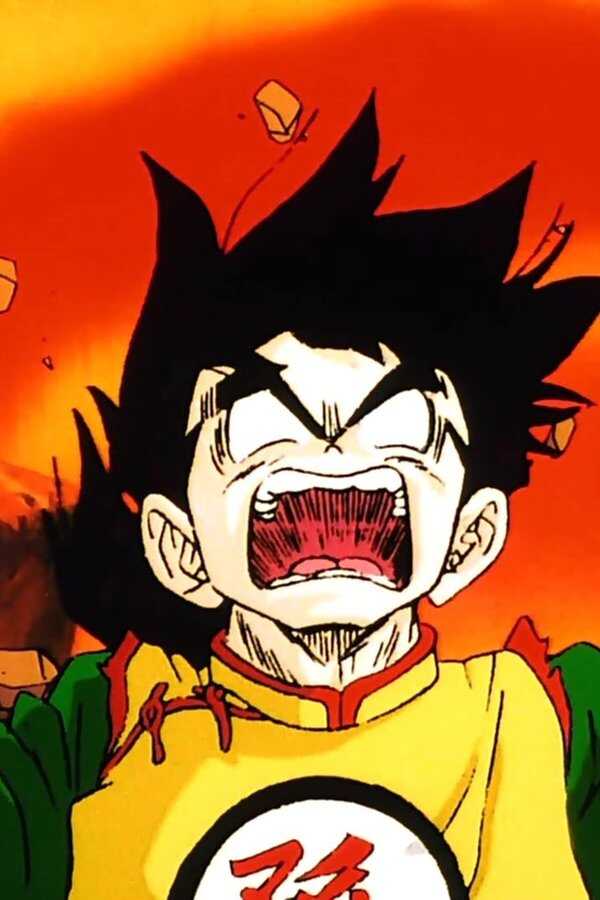 Dragonball Z: Die Todeszone des Garlic Jr. (1989) 0