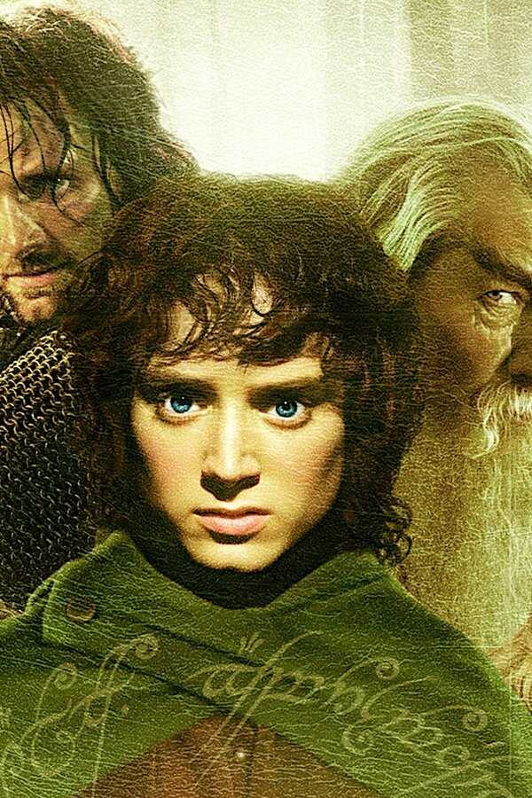 The Lord of the Rings: The Fellowship of the Ring (2001) 0