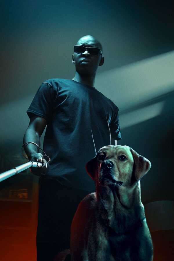 In His Shadow (2023) 0