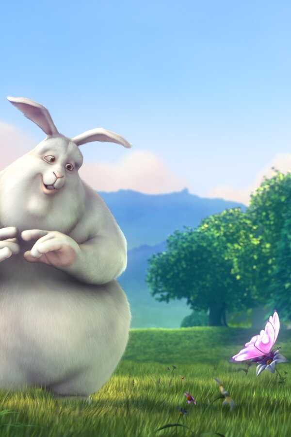 Big Buck Bunny (2008) 0